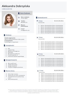 Классический элегантный шаблон резюме, простая версия WORD