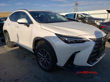 Lexus NX II 2024 Lexus NX 2024 r., 2,5 L 350 H 2.5 Hybryda 240KM, zdjęcie 2