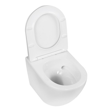 СИСТЕМА ПРОМЫВАНИЯ ДУХОВЫМИ КОРПУСАМИ/ЧАШЕЙ УНИТАЗА ТОНКОЕ СИДЕНЬЕ