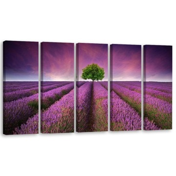 OBRAZ TRYPTYK Fioletowe Kwiaty Łąka 150x60