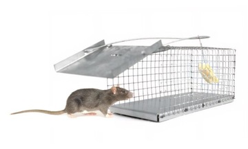 ЖИВЫЕ ЛОВУШКИ ДЛЯ КРЫС, МЫШЕЙ, ГРЫЗУНОВ, 35х17х20 СМ + БЕСПЛАТНО