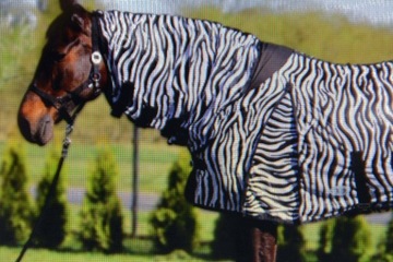 DERKA SIATKOWA Z KAPTUREM PRZECIW OWADOM 155cm