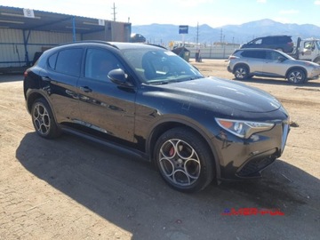 Alfa Romeo Stelvio SUV 2.0 Turbo 280KM 2018 Alfa Romeo Stelvio 2018 r., 2,0L SPORT 4X4 2.0 Benzyna 280KM, zdjęcie 5