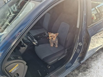 Kia Ceed I SW Facelifting 1.4 DOHC CVVT 90KM 2010 Kia Cee&#039;d 1.4 Benzyna 90 KM, Po Lifcie, zdjęcie 5