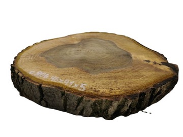 Plaster Drewna Orzech Włoski 46x41x5cm Drewniana Patera