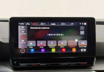 Cupra Formentor 2024 Cupra Formentor Matrix-LED Skora El. fotele kubelkowe Gwarancja 2029 S, zdjęcie 36