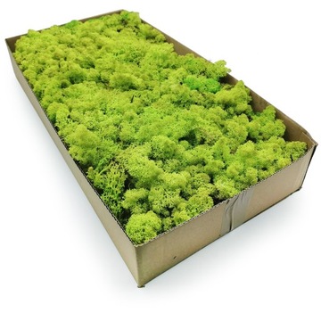 MECH CHROBOTEK SPRING GREEN - JASNA ZIELEŃ - 500g