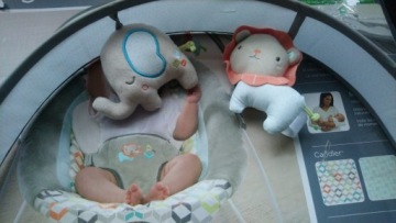 Шезлонг Ingenuity 10210