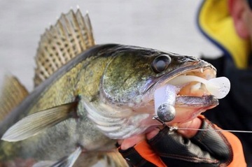 SG LB 3D Fat Minnow T-Tail 9cm 7g 05-White Silver