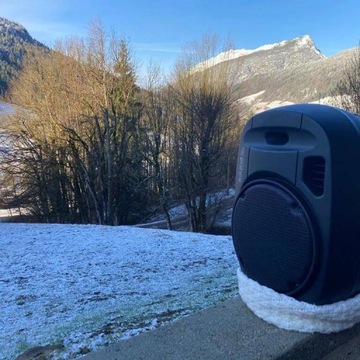 Мобильная колонка 8 дюймов, 400 Вт, порт PORT8VHF-MKII-TWS, аккумулятор, два микрофона