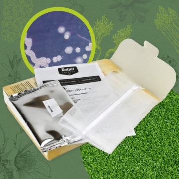 TARGET POLYVERSUM WP 5G БОРЬБА С БОЛЕЗНЯМИ РАСТЕНИЙ