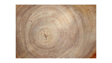 Магнитная доска WOOD для туристических магнитов.