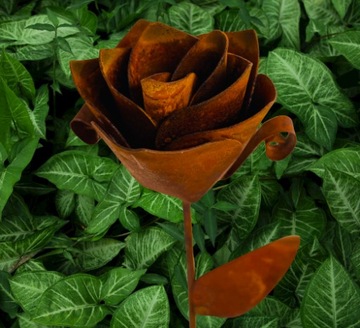 Стильная роза x2 Вечный день женской бабушки у нас есть лак для Дня святого Валентина