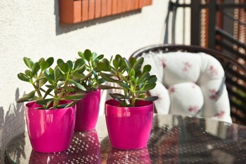 Крышка для цветочного горшка МАГНОЛИЯ, диаметр 21 см, цвет: ЧЕРНЫЙ ГЛЯНЦЕВЫЙ