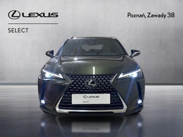 Lexus UX Crossover Facelifting 2.0 300h 199KM 2024 Lexus UX 300h Business Lexus UX 300h Business+Tech, zdjęcie 5
