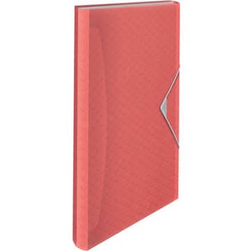 Teczka z 6 poszerzanymi przegródkami koralowa ESSELTE Colour'Breeze 628447
