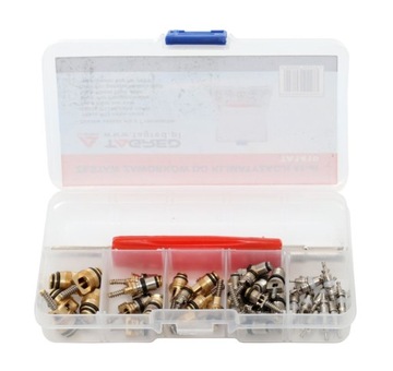 Станция кондиционирования воздуха Мобильная холодильная установка Fgas