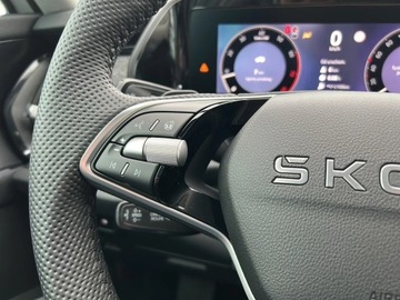 Skoda Kodiaq II 2025 Skoda Kodiaq Edition 130 2.0 TSI 204 KM DSG, zdjęcie 13