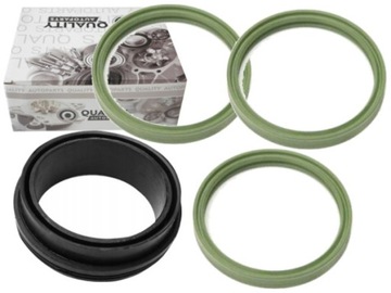 ZESTAW USZCZELEK PRZEWODÓW INTERCOOLERA BMW M57N2