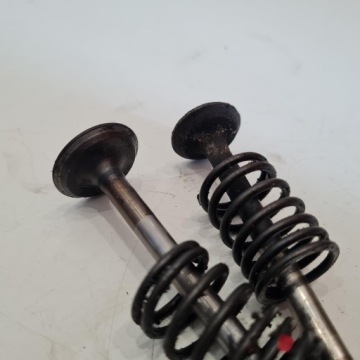 КОМПЛЕКТ ВПУСКНОГО КЛАПАНА BRIGGS & STRATTON QUANTUM 3,5 л.с.