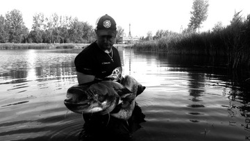 СЕНТ для крепления ЖИВОГО СОМА А-СТАТИЧЕСКИЙ Размер. XXL