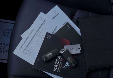 Mazda CX-3 Crossover 2.0 SKY-G 120KM 2017 Mazda CX-3 2.0 I NAVI bezwypadkowa SKORA GWARANCJA zarejestrowana automat, zdjęcie 35