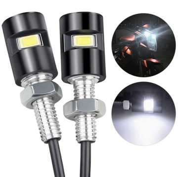 ВИНТ СВЕТОДИОДНОЙ ПОДСВЕТКИ НОМЕРНОГО ЗНАКА