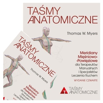 Taśmy anatomiczne Thomas W. Myers dla terapeutów