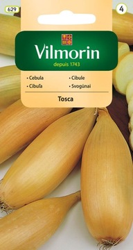 CEBULA TOSCA VILMORIN
