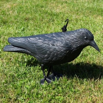 ОЧЕНЬ БОЛЬШОЙ СЫРОЙ ОТПУСКАТЕЛЬ ДЛЯ ПТИЦ, ГОЛУБЕЙ, СМОТРЯЩИХСЯ, БАЛКОНОВ, ВЫСОКОГО КАЧЕСТВА