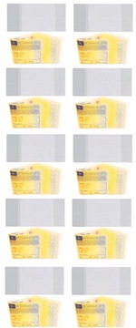 OKŁADKA ETUI DOWÓD REJESTRACYJNY PRZEZROCZYSTA x10