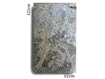 Deoli Облицовка камнем Зеленый 122x61x0,2 см