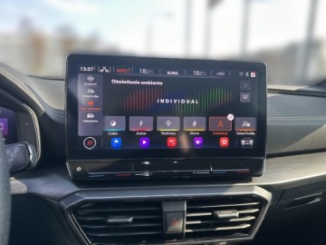 Cupra Formentor Crossover 2.5 TSI 390KM 2024 Cupra Formentor Cupra Formentor VZ5 2.5 TSI 390KM, zdjęcie 24