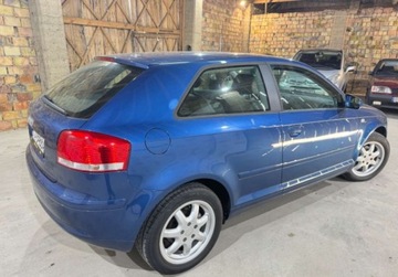 Audi A3 8P Hatchback 3d 1.6 102KM 2007 Audi A3 1.6 Mpi 102KM Piekna Sprawdz, zdjęcie 11