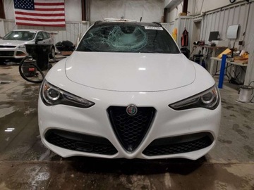 Alfa Romeo Stelvio SUV Facelifting 2.0 Turbo 280KM 2022 Alfa Romeo Stelvio TI 2022 2.0l 2.0 Benzyna 280KM, zdjęcie 5
