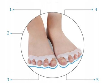 СЕПАРАТОР ДЛЯ ПАЛЬЦЕВ ДЛЯ МОЛОЧКИХ ПАЛЬЦЕВ