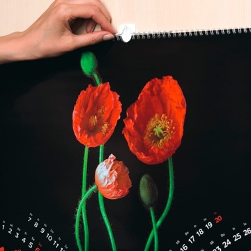 TESA PowerStrips Self -адгезивные крючки для кадров изображений 1 кг 10 шт.