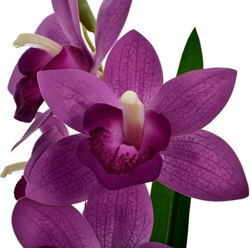 ORCHIDEA SZTUCZNY STORCZYK KWIATY DONICZKA LIŚCIE