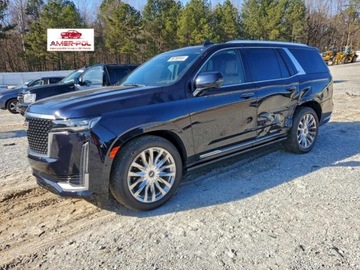 Cadillac Escalade III 2022 Cadillac Escalade Premium Luxury, 2022r., 4x4, 6.2L 6.2 Benzyna 420KM