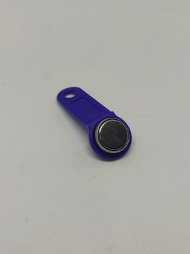 ПРОГРАММИРУЕМАЯ таблетка Dallas iButton RFID RW1990