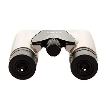 Бинокль Olympus 8 x 21 RC II с сумкой, золотой GW