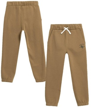 ДЕТСКИЕ СПОРТИВНЫЕ БРЮКИ 4F ДЛЯ МАЛЬЧИКОВ, ХЛОПОК AW23M419