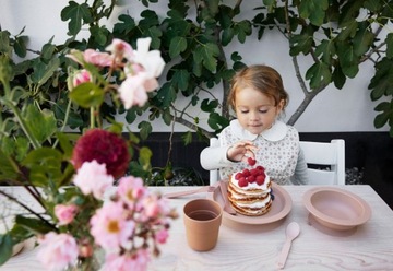 ОСЕННИЙ НАГЛУЖИТЕЛЬ РОЗА ЭЛОДИ ДЕТАЛИ