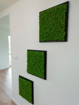 Картина от Хроботки ПРЕМИУМ 50х50см мох на стену