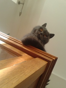 Wosk twardy antyk LARO 319 konserwacja na antyki