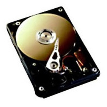 Dysk twardy Fujitsu S26361-F3063-L80 80 GB