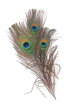 ПЕРЬЯ ПАВЛИНА 3 ШТ.