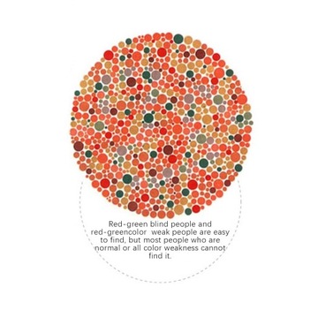 КОРРЕКТИРУЮЩИЕ ОЧКИ ДЛЯ ЧЕХОЛОВ COLOR-BOLTON