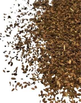 Facelia Błękitna 10kg