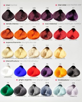 Краска Renee Blanche Haute Coiffure 100 мл, 8,4